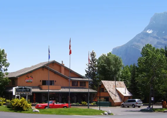 Douglas Fir en verano con vistas a Tunnel Mountain