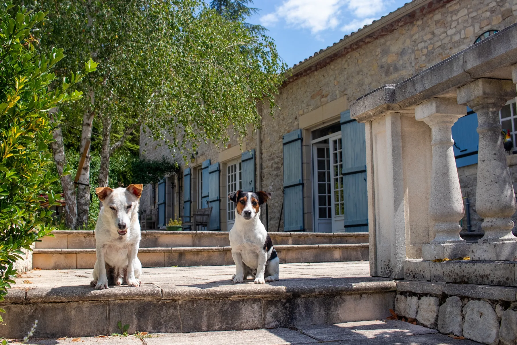 Jasmin Cottage