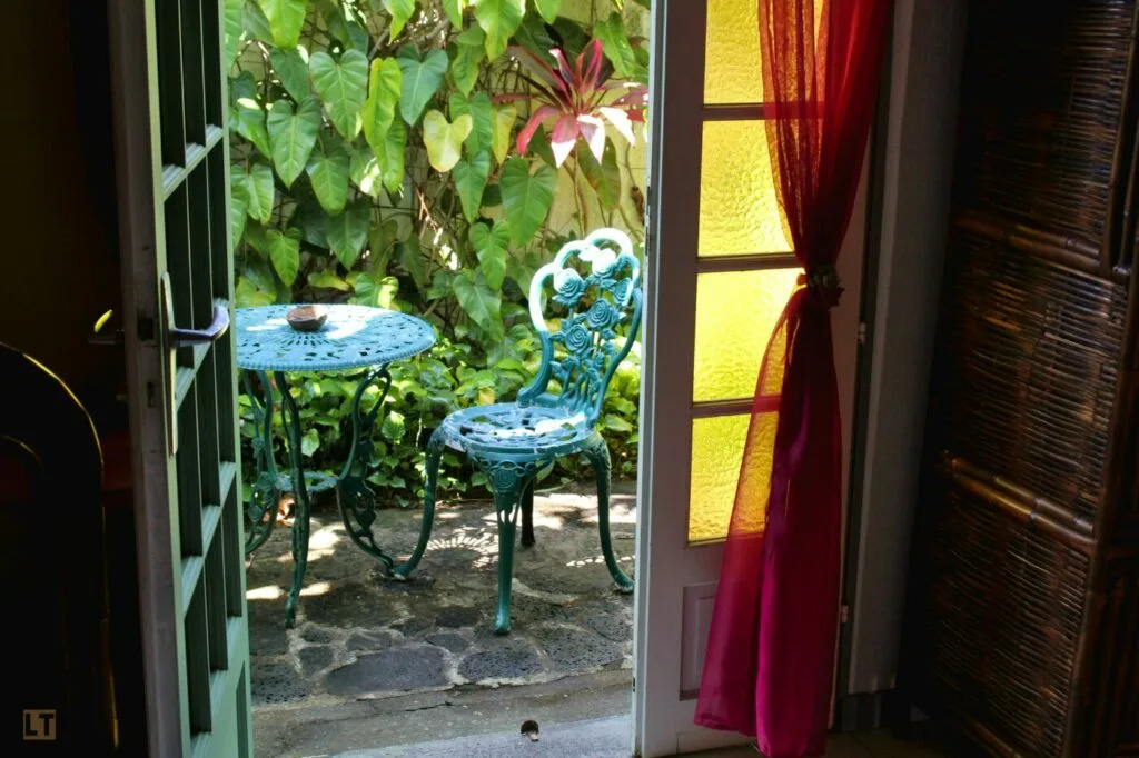 La casa con contraventanas verdes detrás de una enredadera de jade