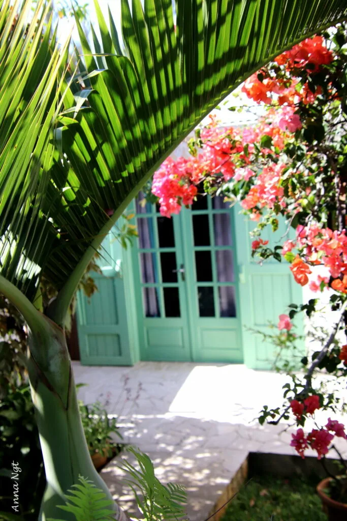 La fachada de la casa con puertas criollas verdes bajo una palmera