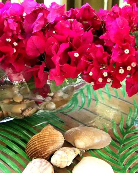 Buganvillas y conchas sobre una mesa de la propiedad
