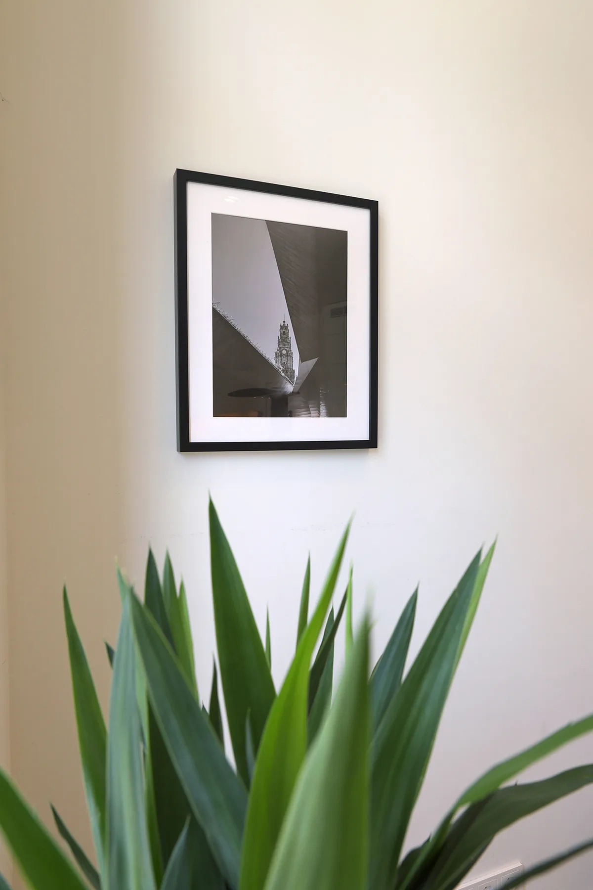 Una fotografía en blanco y negro enmarcada cuelga de una pared clara sobre una planta frondosa.