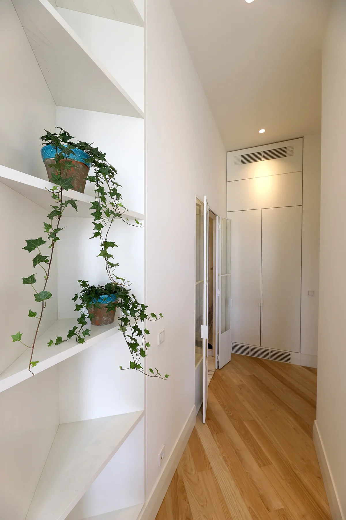 Un pasillo luminoso con estantes empotrados, plantas colgantes y suelo de madera.