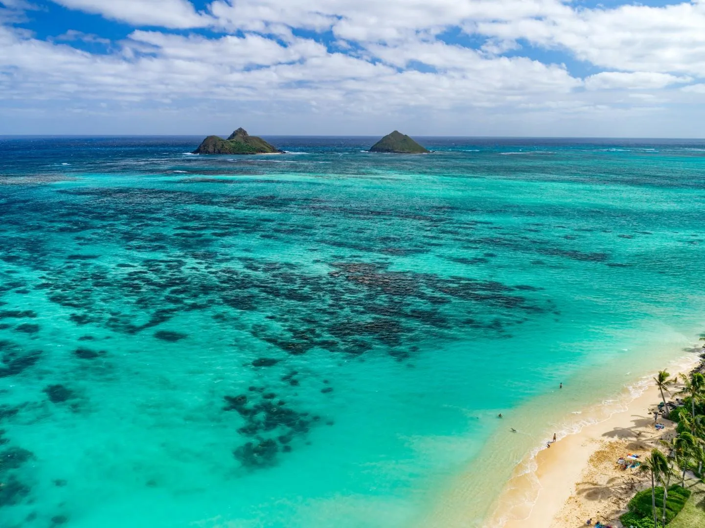 Una playa tropical bordea aguas turquesas y claras junto a un arrecife visible.