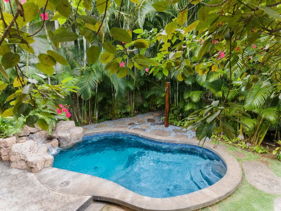 Una pequeña piscina al aire libre está rodeada de abundante vegetación tropical.