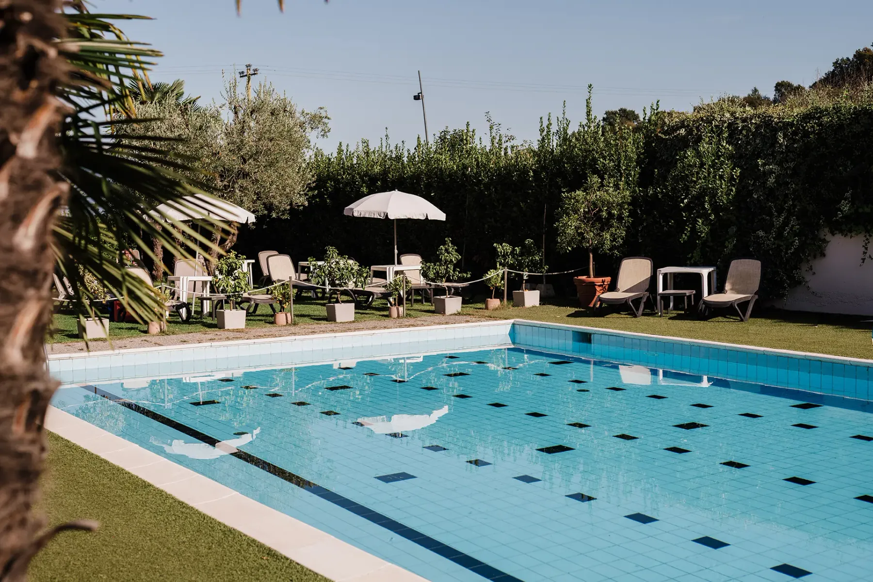 Outdoor pool area in greenery
