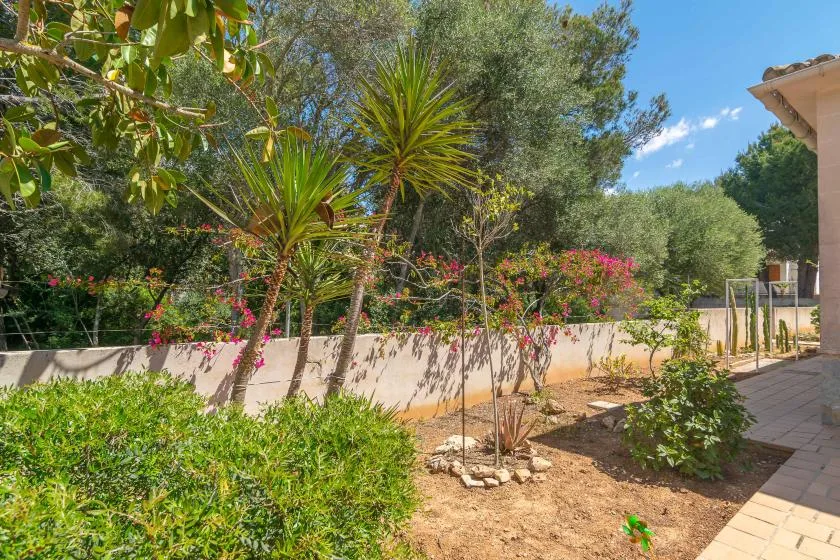 A landscaped garden with flowering shrubs, trees, and a paved walkway.