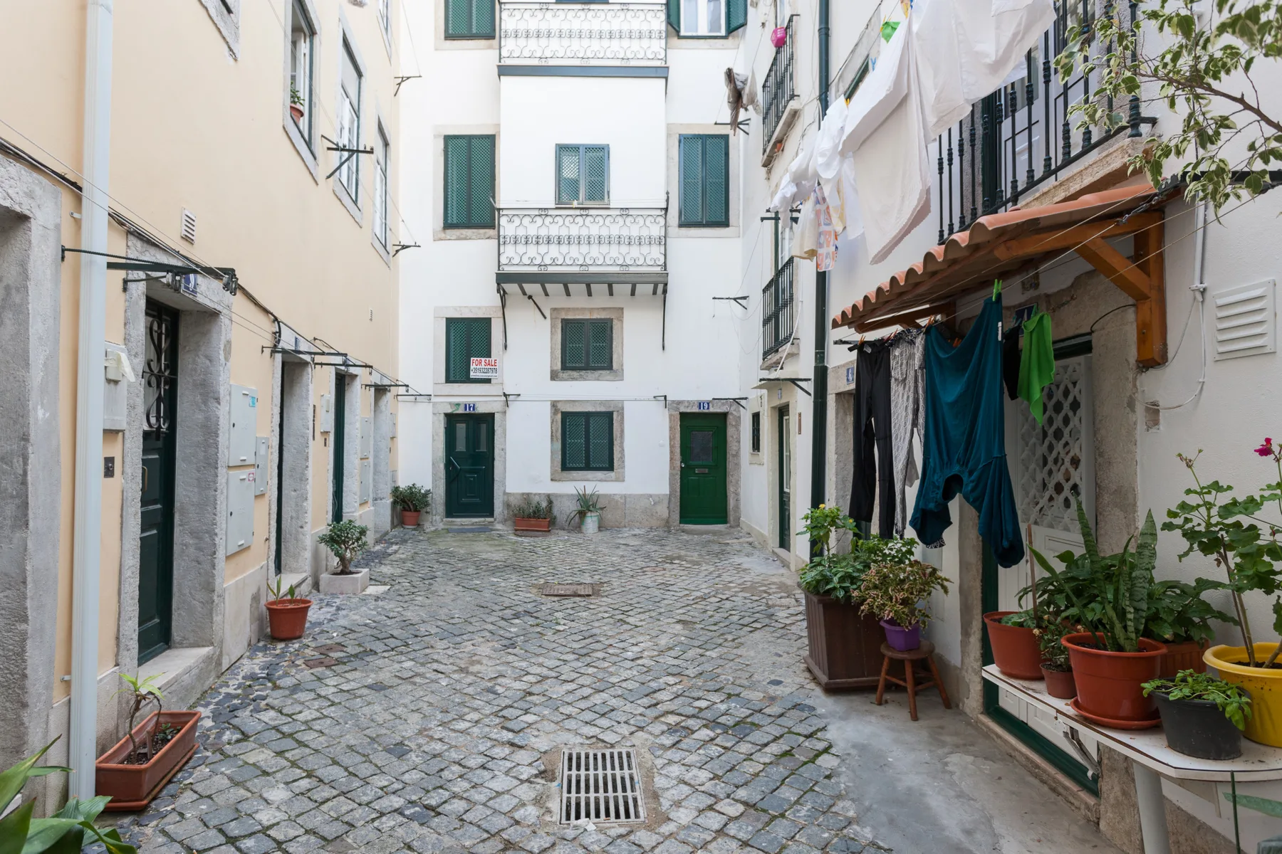 Un patio estrecho empedrado está rodeado de edificios blancos y plantas en macetas.