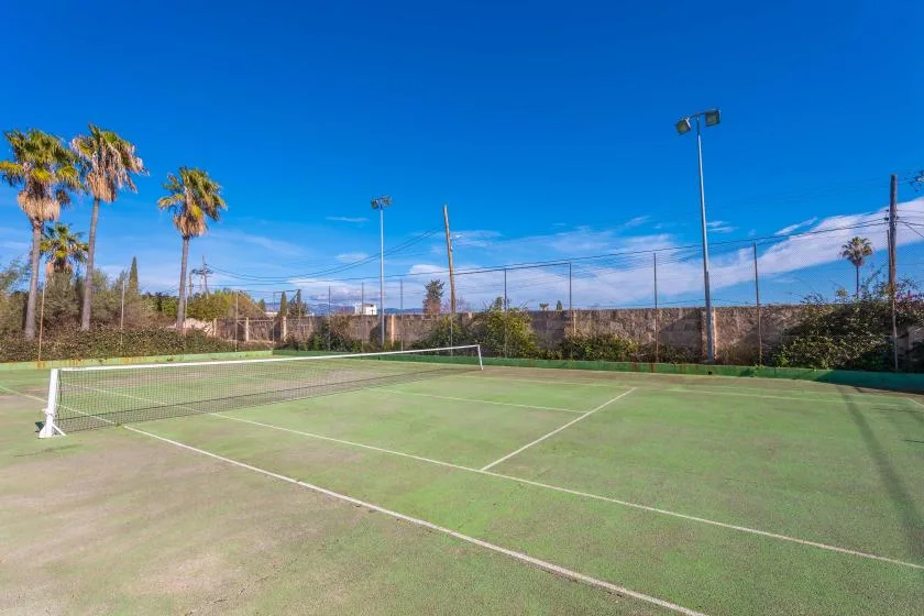 An outdoor tennis court with a net, fencing, and palm trees.