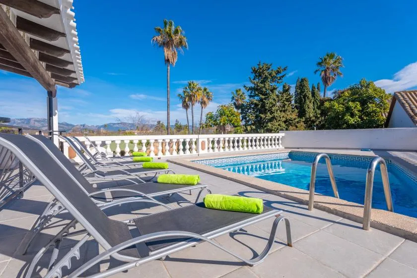 A swimming pool beside lounge seating, with palm trees visible beyond the terrace.