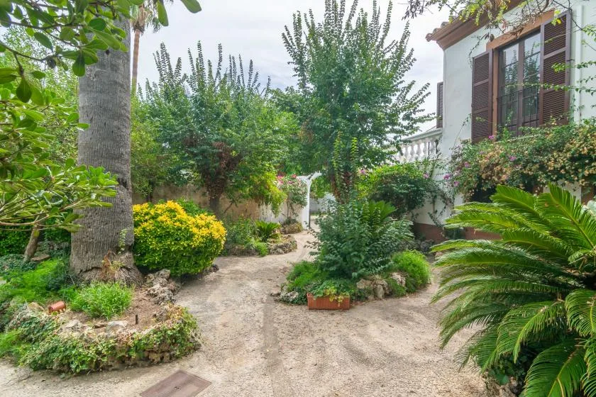A garden path winds through dense greenery beside a white building.