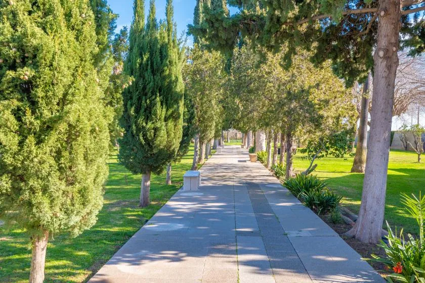A paved garden path runs between rows of trees and green lawns.