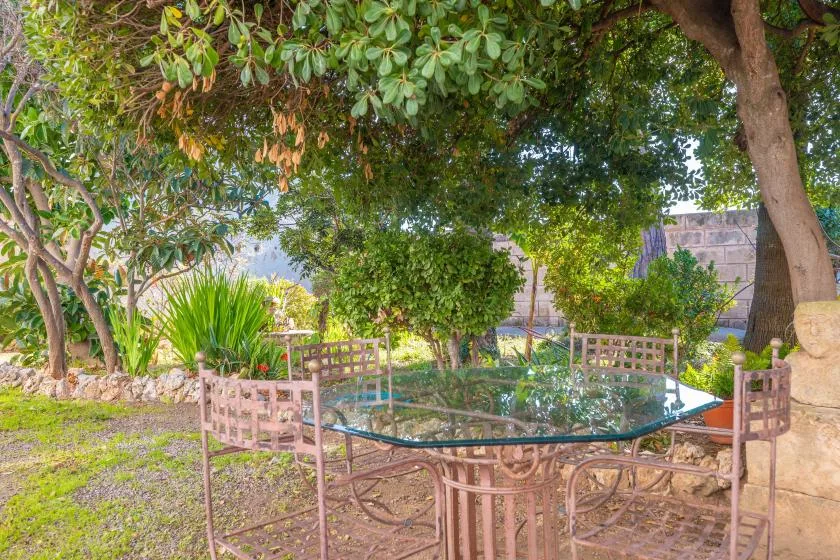 A garden seating area with a glass-top table beneath leafy trees.