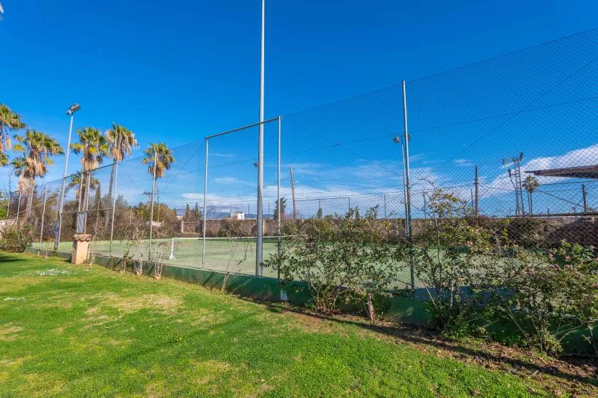 A fenced sports court bordered by grass and palm trees under a clear sky.