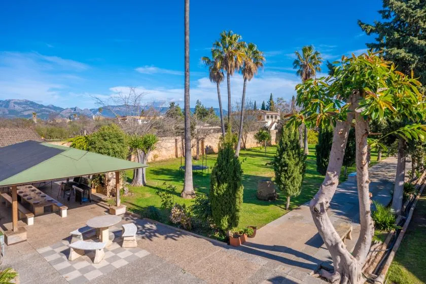 A landscaped garden with palm trees, paved walkways, and an outdoor seating area.