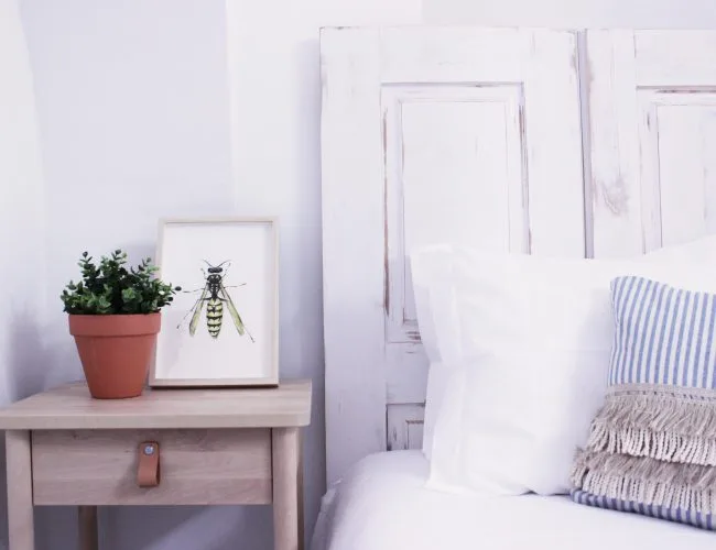Apartamento de un dormitorio