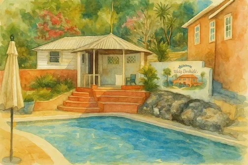 The Blue Orchid Jamaica