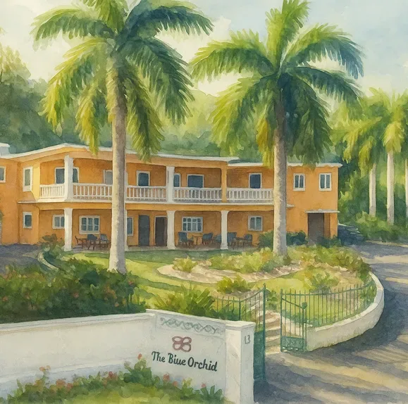 The Blue Orchid Jamaica