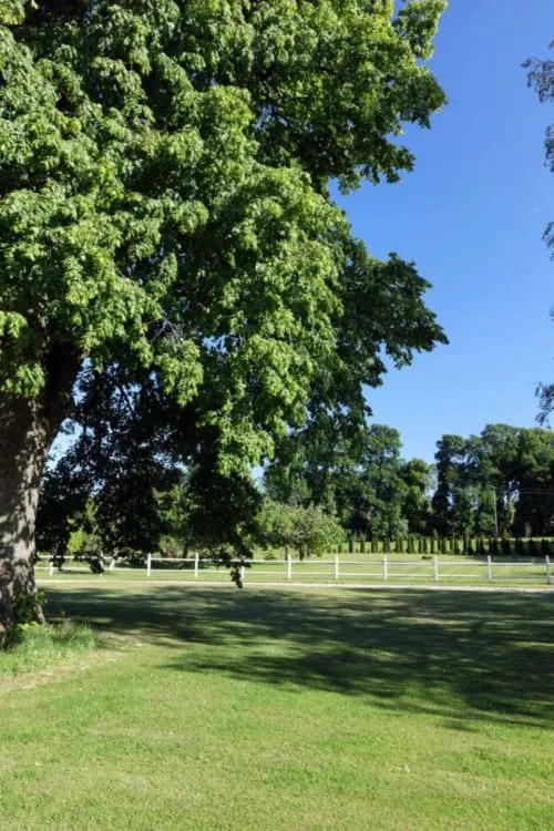 Manoir du Clap - Vistas al jardín - La Cerlangue
