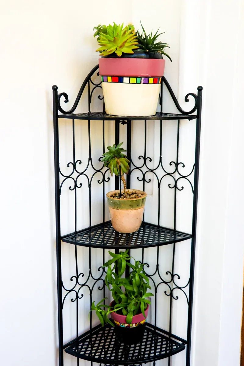 Equipamiento y decoración de la habitación Onyx