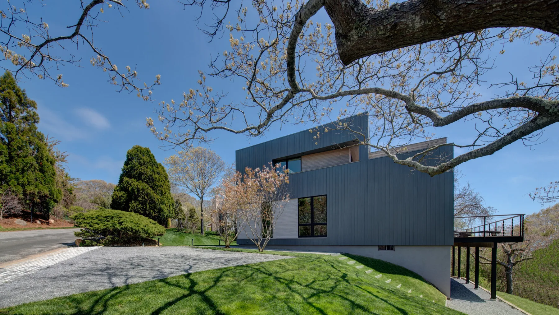 A modern building stands beside a grassy lawn beneath large overhanging tree branches.