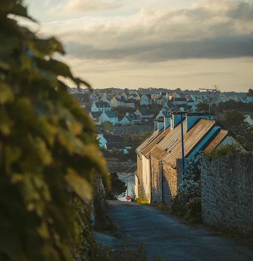 Cobblestone lane descending toward a coastal village.