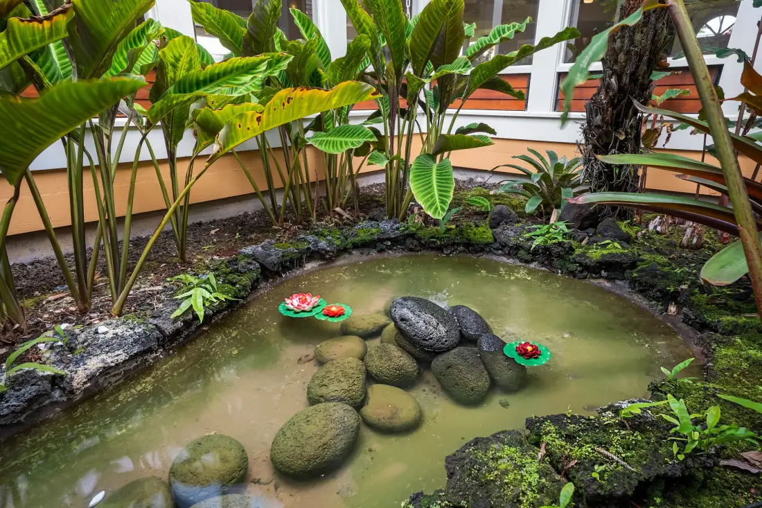 Un pequeño estanque de jardín con piedras, flores flotantes y plantas tropicales frondosas.