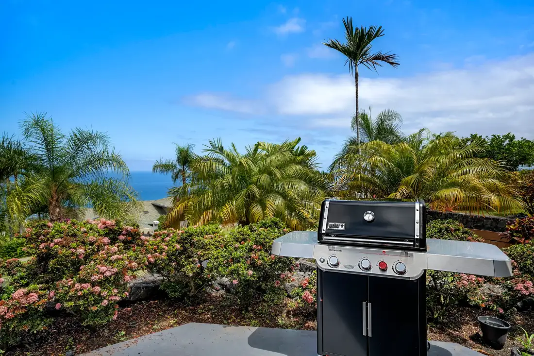 Una parrilla al aire libre está junto a arbustos con flores, palmeras y vistas al mar.