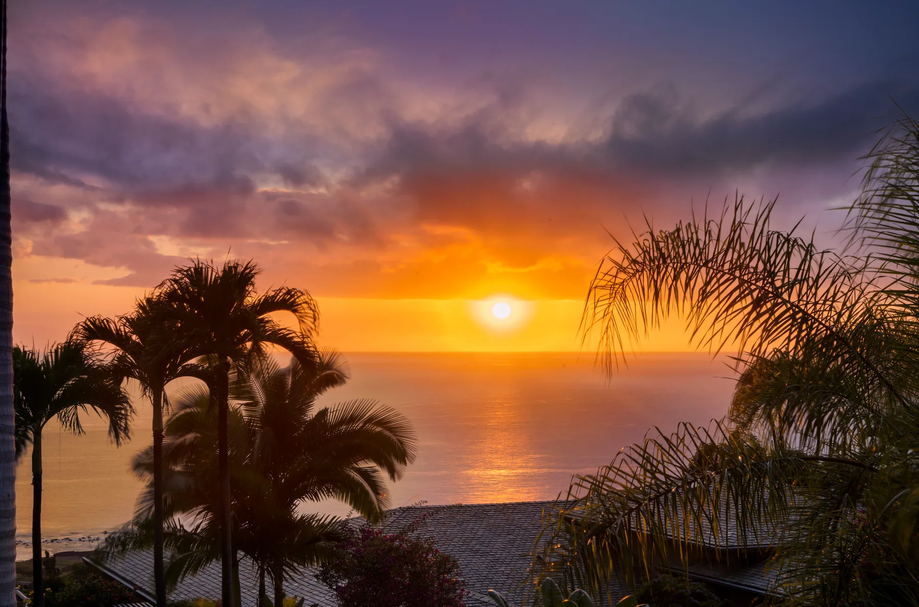 El atardecer ilumina el océano, enmarcado por palmeras.