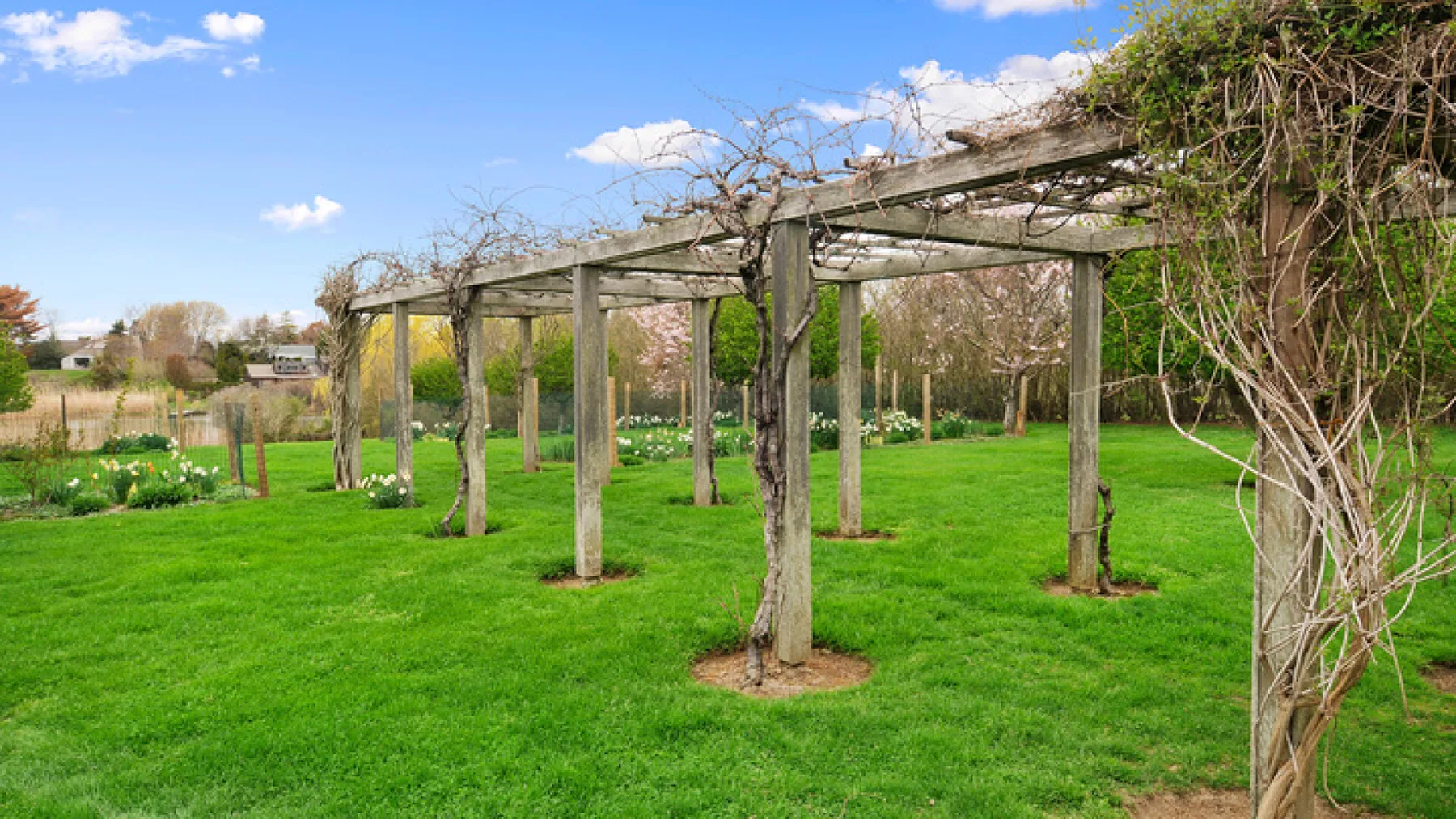 Un jardín con césped y una pérgola de madera cubierta de enredaderas.