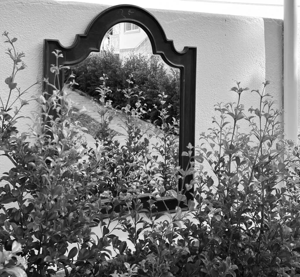 Garden and dining-room patio details