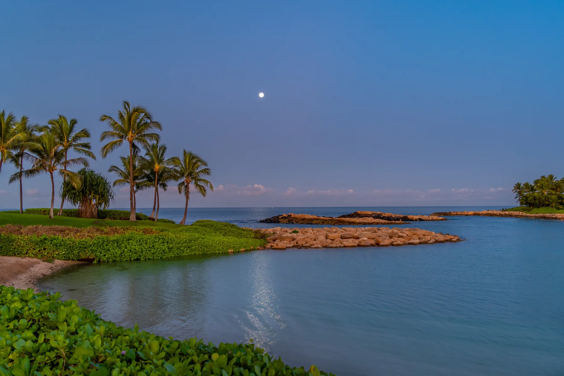 A tropical shoreline with palm trees beside calm blue water at dusk.