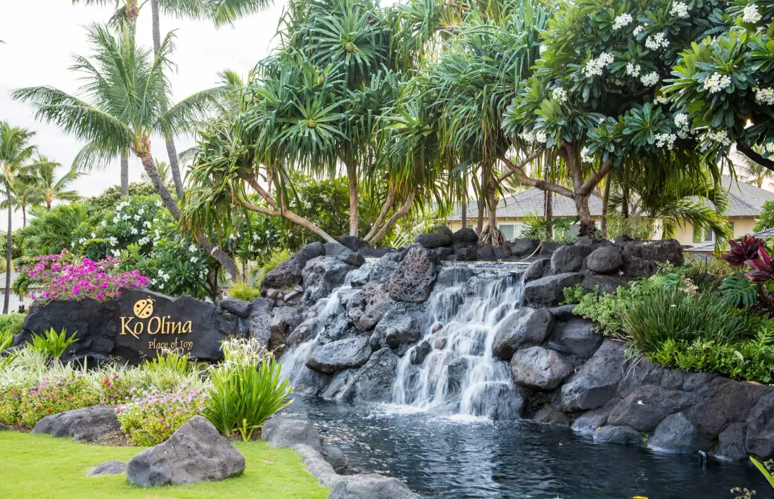 A tropical garden pond with a small waterfall flowing over dark rocks.