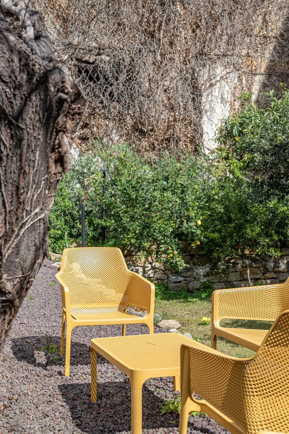 Una zona de asientos en el jardín, con sillas amarillas y una mesa entre árboles y arbustos.