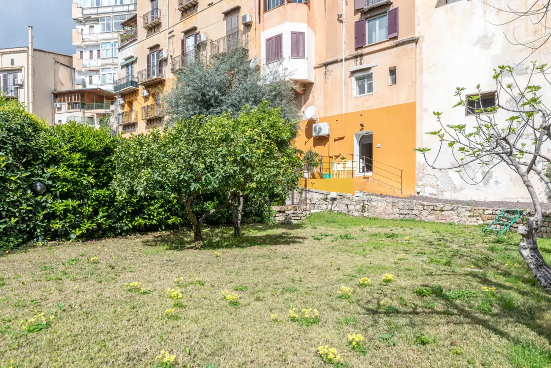 Un jardín de patio con césped, árboles frondosos y edificios de apartamentos al fondo.