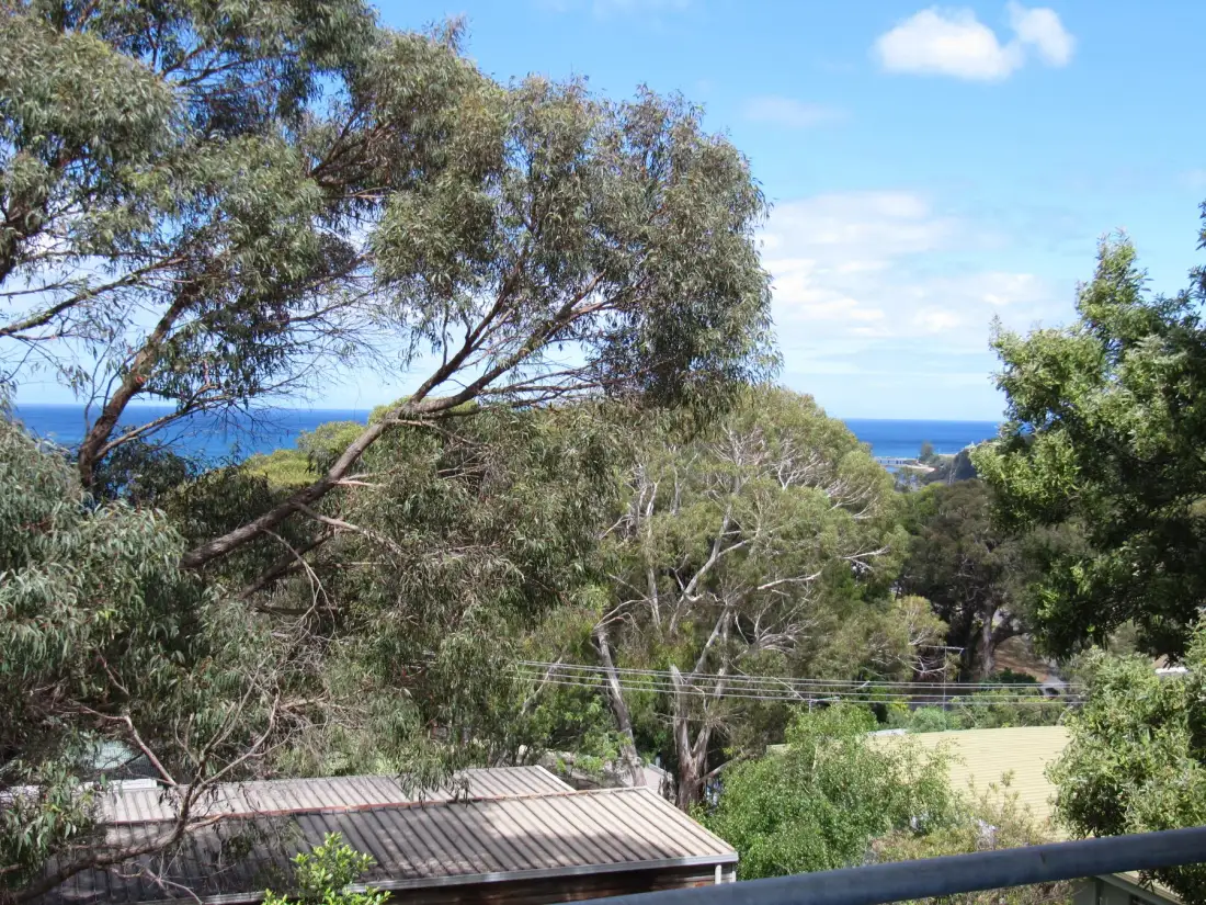 A leafy outdoor view overlooks rooftops and the sea beneath a blue sky.