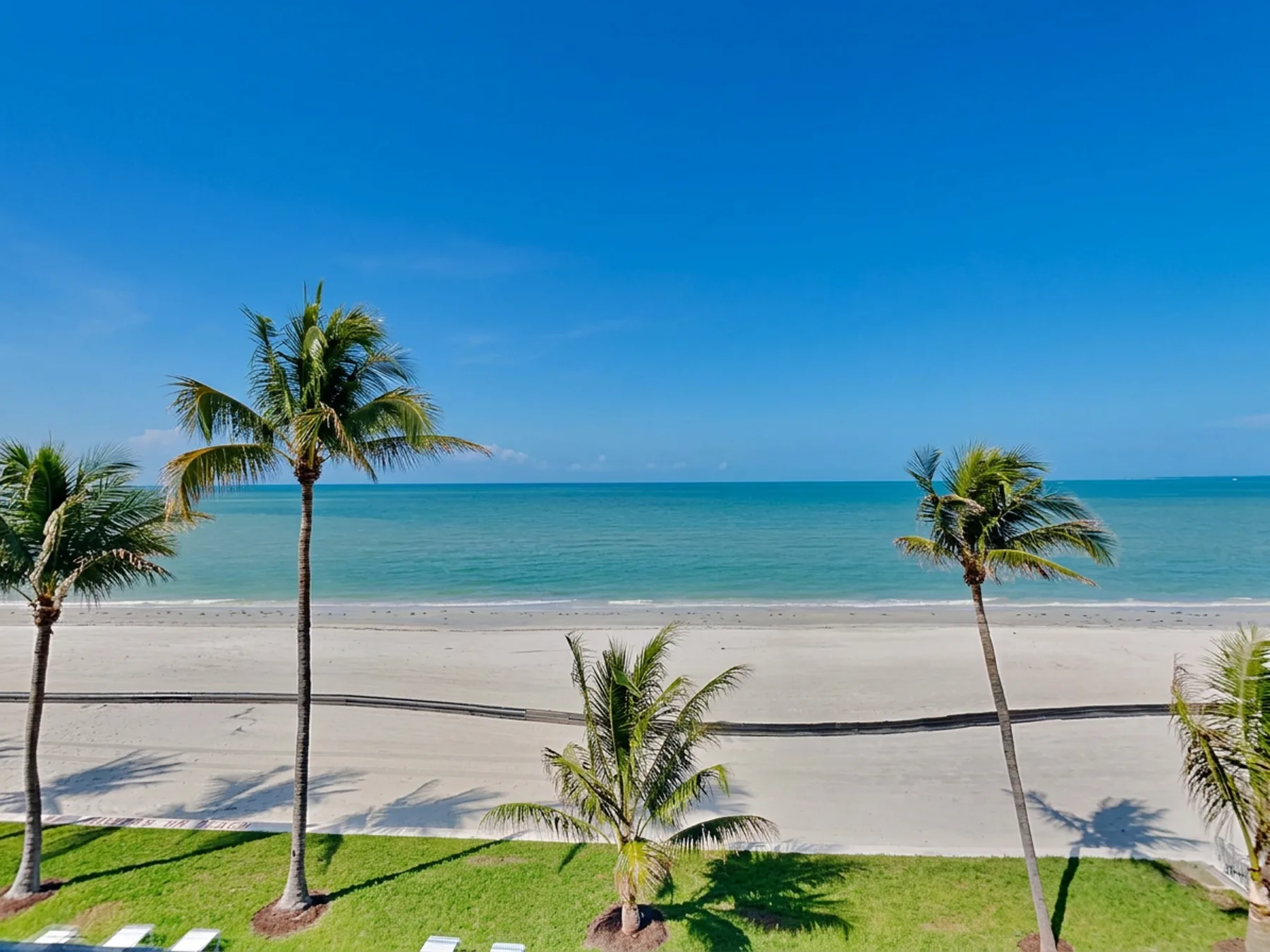 A sandy beach and turquoise sea stretch beyond a grassy strip lined with palm trees.
