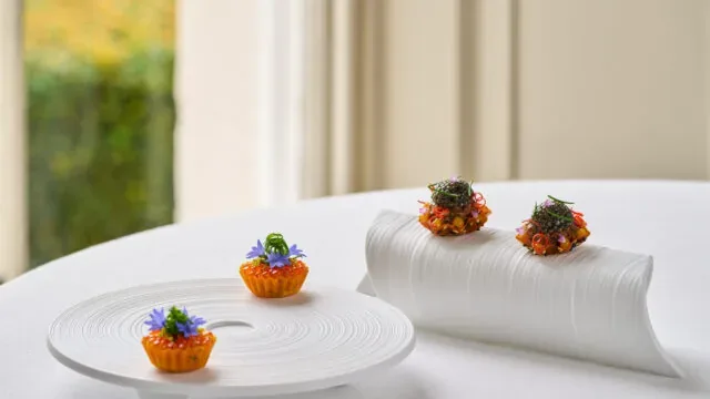 Platos del menú degustación de Terre