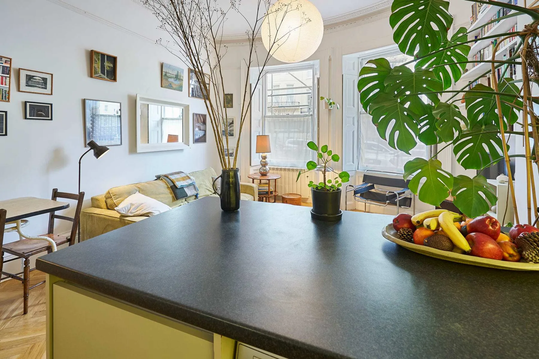 A bright living and dining area has a dark kitchen island and leafy plants.