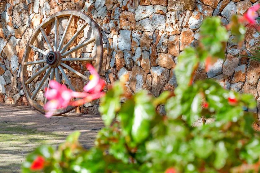A weathered wooden wagon wheel leans against a stone wall beside flowering plants.