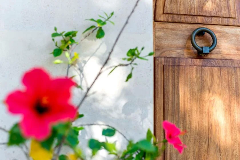 A wooden door beside green foliage and bright pink flowers.