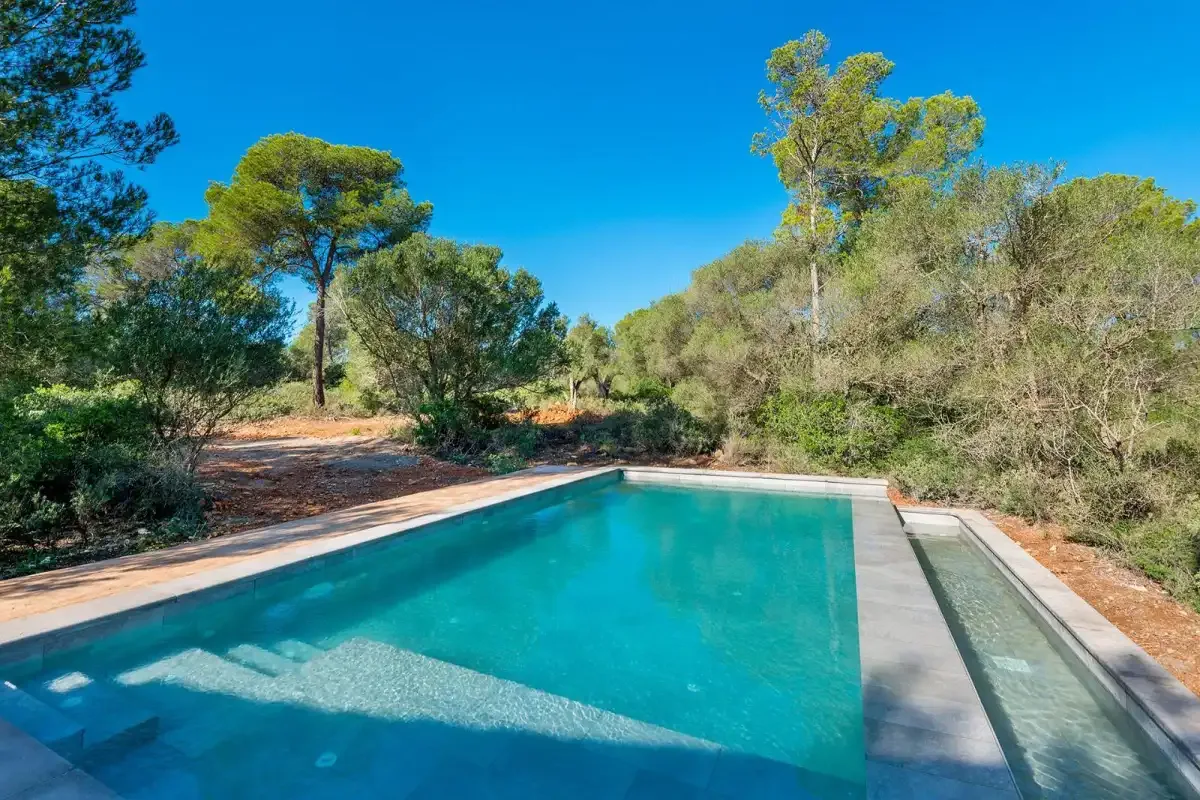 An outdoor swimming pool sits among trees and shrubs under a clear blue sky.