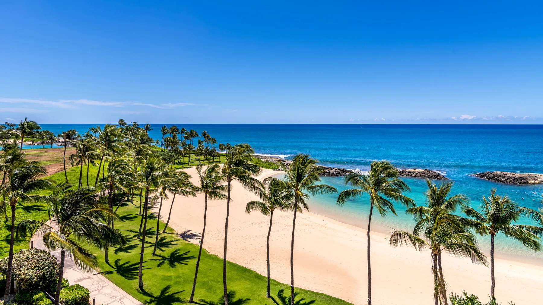 Una playa tropical con palmeras, césped verde y aguas turquesas.