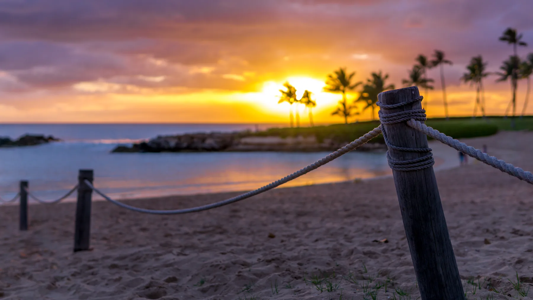 Una playa de arena al atardecer, con palmeras junto a la costa.