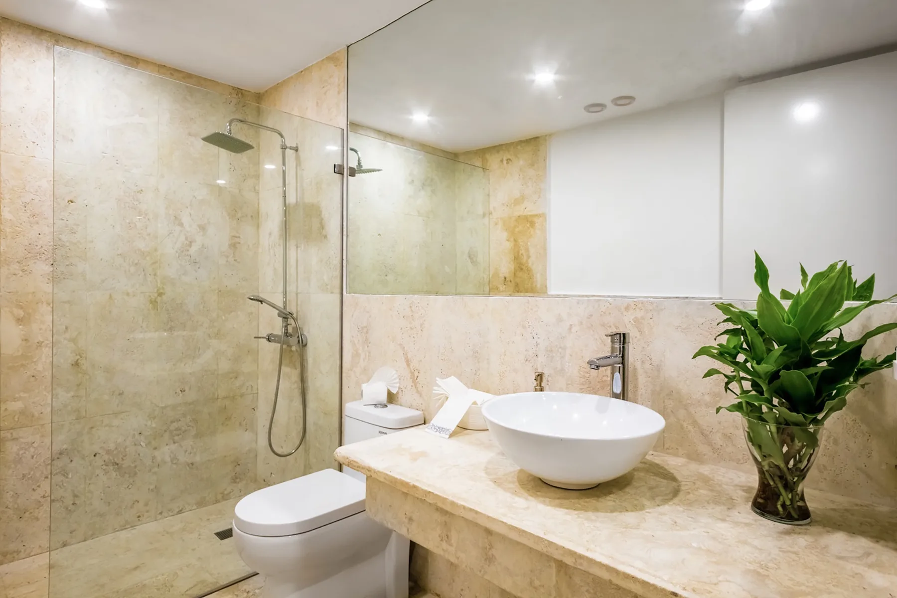 Un baño con ducha, lavabo de sobreponer y una planta frondosa.