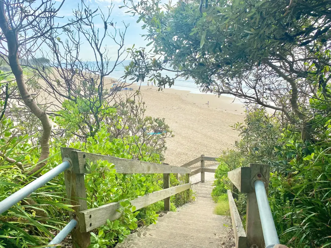 A wooden walkway passes through greenery toward a sandy beach.