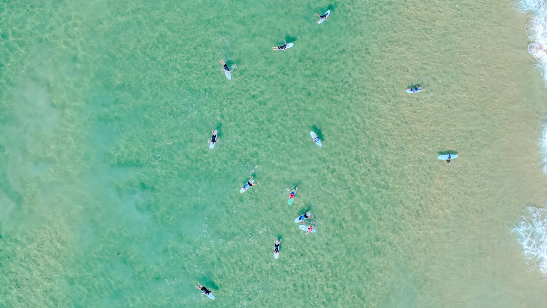 Aerial view of people swimming and surfing in shallow coastal water.
