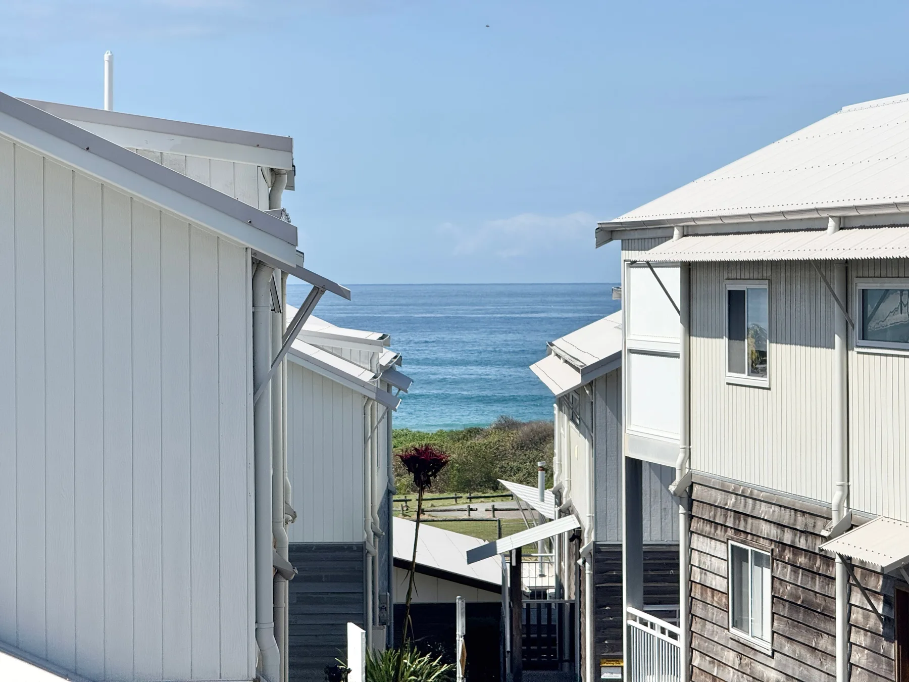 A coastal scene shows light-colored buildings framing a view of the ocean.