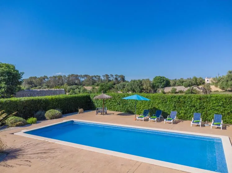 Una piscina al aire libre con tumbonas y un seto verde bajo un cielo despejado.