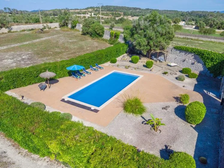 An outdoor swimming pool sits in a paved patio surrounded by greenery.